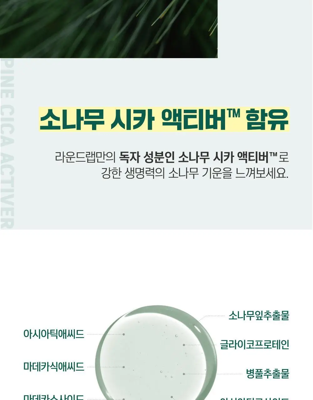 [매끈바디] 라운드랩 소나무 진정 시카 바디 워시 400ml 상세페이지 11